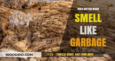 The Surprising Truth About Rotten Wood: Does It Really Smell Like Garbage?