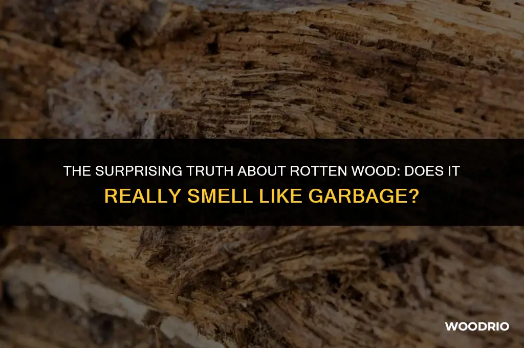 does rotten wood smell like garbage