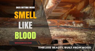 Unraveling the Mystery: Why Rotting Wood Might Smell Like Blood