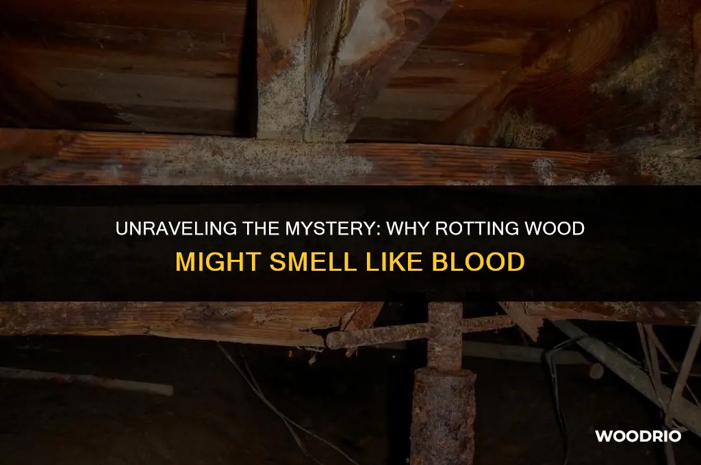 does rotting wood smell like blood