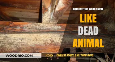 The Surprising Truth: Rotting Wood's Odor and Its Animal-Like Qualities