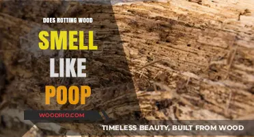 The Surprising Truth: Why Rotting Wood Might Smell Like Poop