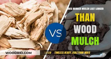 Rubber vs. Wood Mulch: Which Lasts Longer in Your Garden?