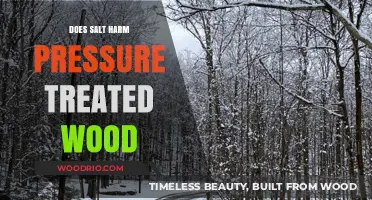 Salt's Impact on Pressure Treated Wood: A Comprehensive Guide