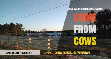 Do Solid Wood Fence Boards Originate from Cows? Unraveling the Myth