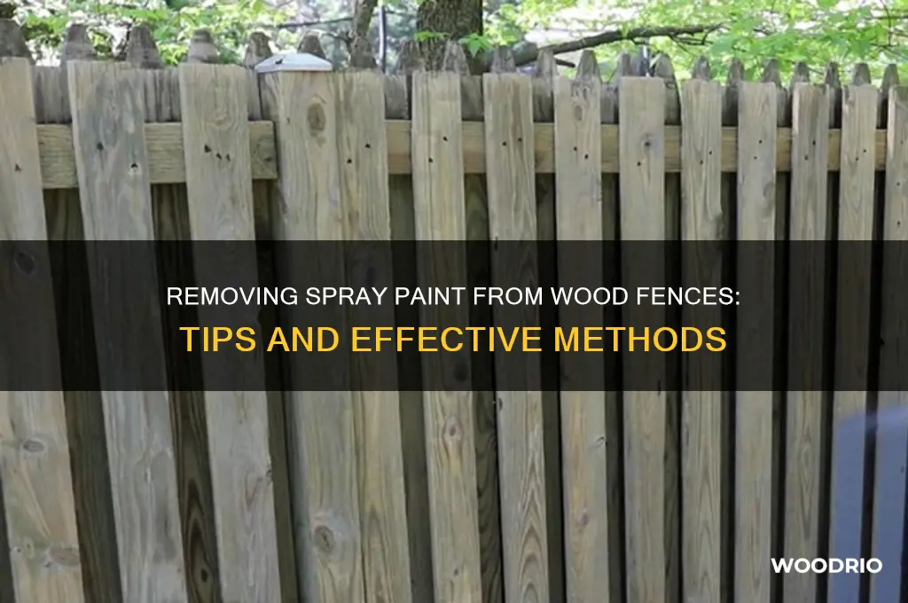 does spray paitn come off wood fence