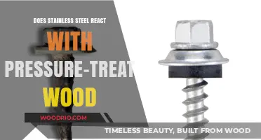 Compatibility Check: Stainless Steel and Pressure-Treated Wood