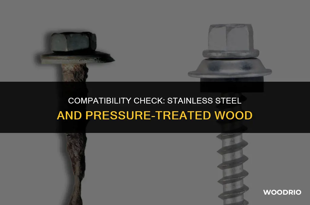 does stainless steel react with pressure-treated wood