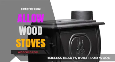 Exploring Home Insurance Options: Wood Stoves and State Farm