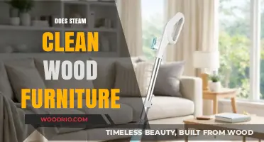 Reviving Wood Furniture: The Power of Steam Cleaning