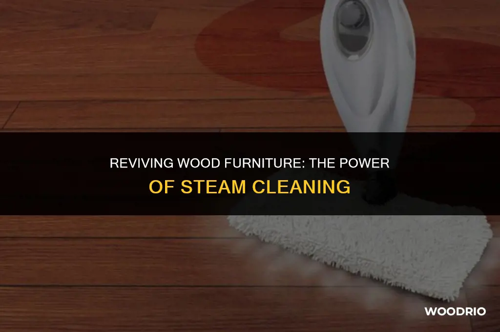 does steam clean wood furniture