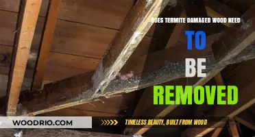 Termite-Damaged Wood: Removal Necessary or Not?