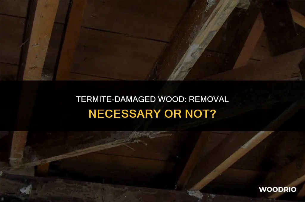 does termite damaged wood need to be removed