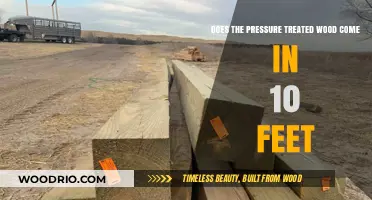 Exploring Lumber Options: Is 10-Feet Pressure Treated Wood Available?