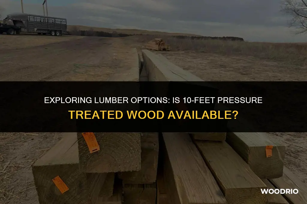 does the pressure treated wood come in 10 feet