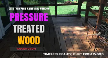 Thompson Water Seal's Efficacy on Pressure Treated Wood: A Detailed Analysis
