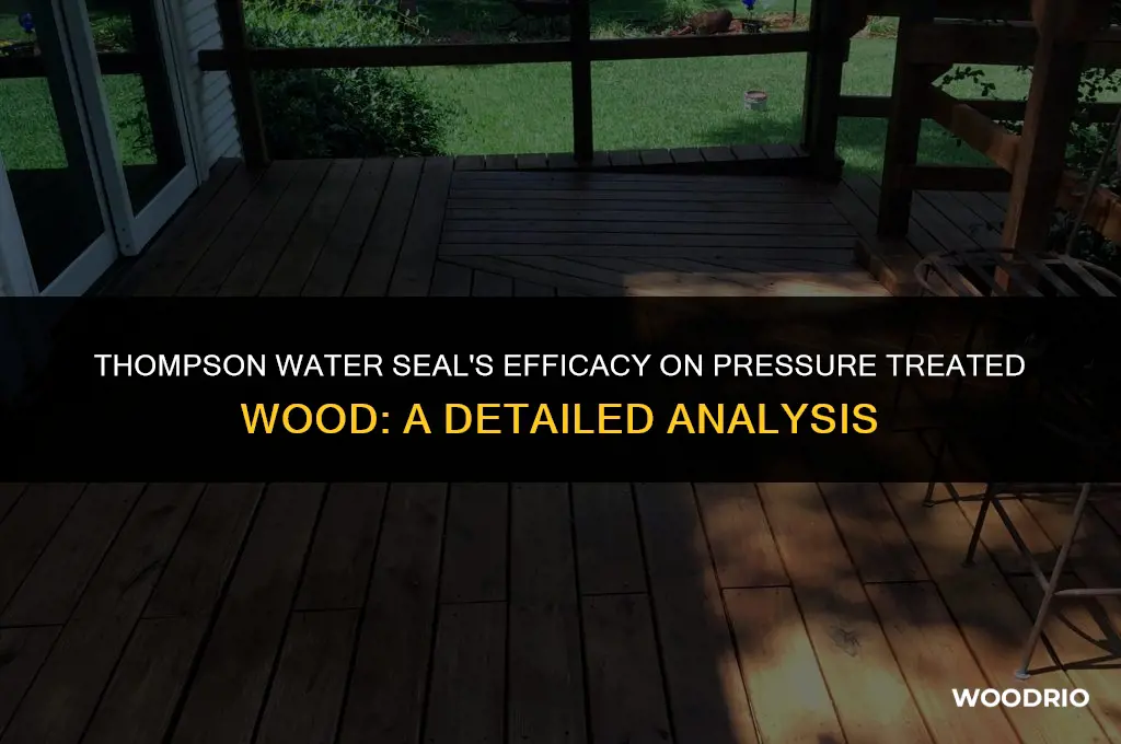 does thompson water seal work on pressure treated wood