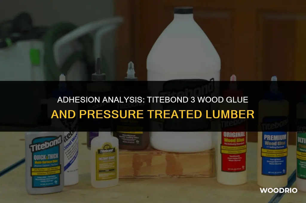 does titebond 3 wood glue stick to pressure treated lumber