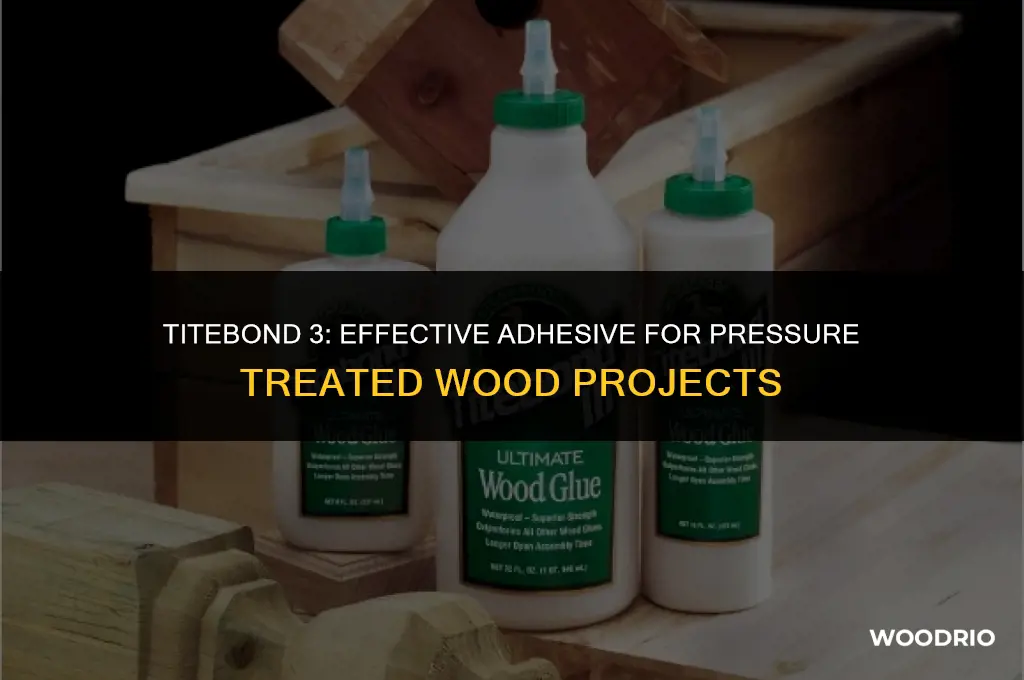 does titebond 3 work on pressure treated wood