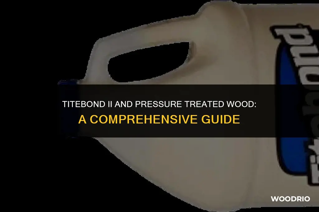 does titebond ii stick to pressure treated wood