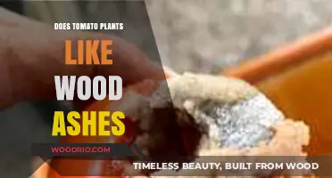 Boosting Tomato Growth: The Benefits of Wood Ashes in Gardening
