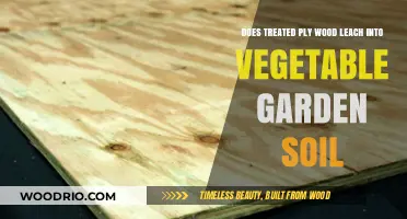 Exploring the Safety of Treated Plywood in Vegetable Gardens