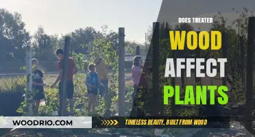 Exploring the Impact of Treated Wood on Plant Health and Growth