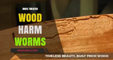 Does Treated Wood Harm Worms: A Comprehensive Guide