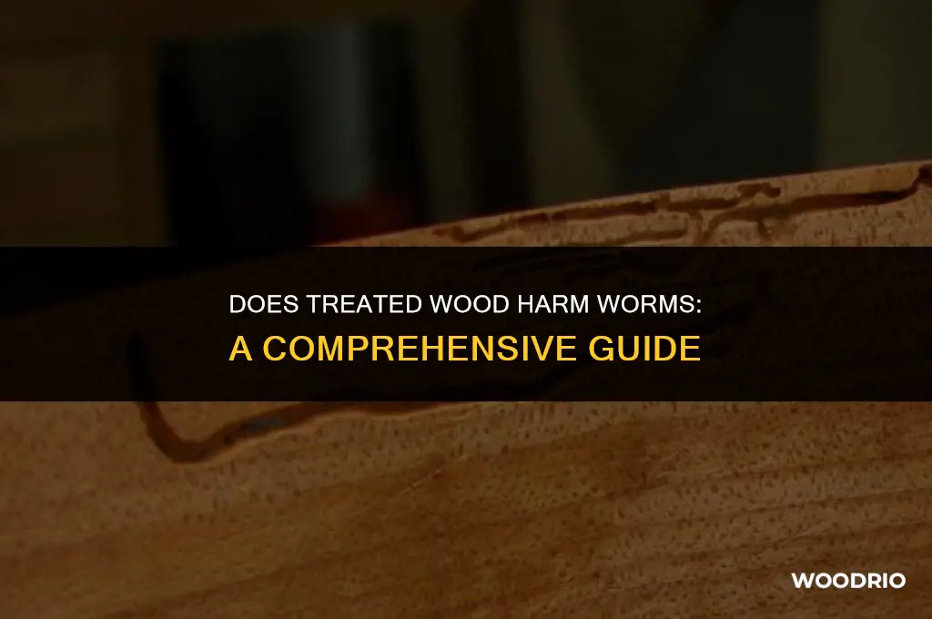 does treated wood harm worms