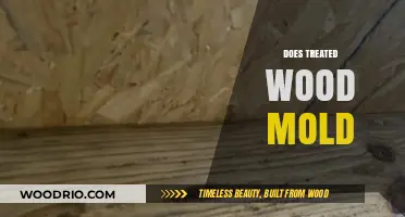 Treated Wood and Mold: Understanding the Resistance and Risks