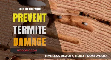 Treated Wood: A Termite-Resistant Solution for Your Home?