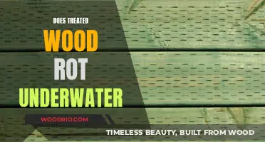 Exploring the Durability of Treated Wood Submerged Underwater