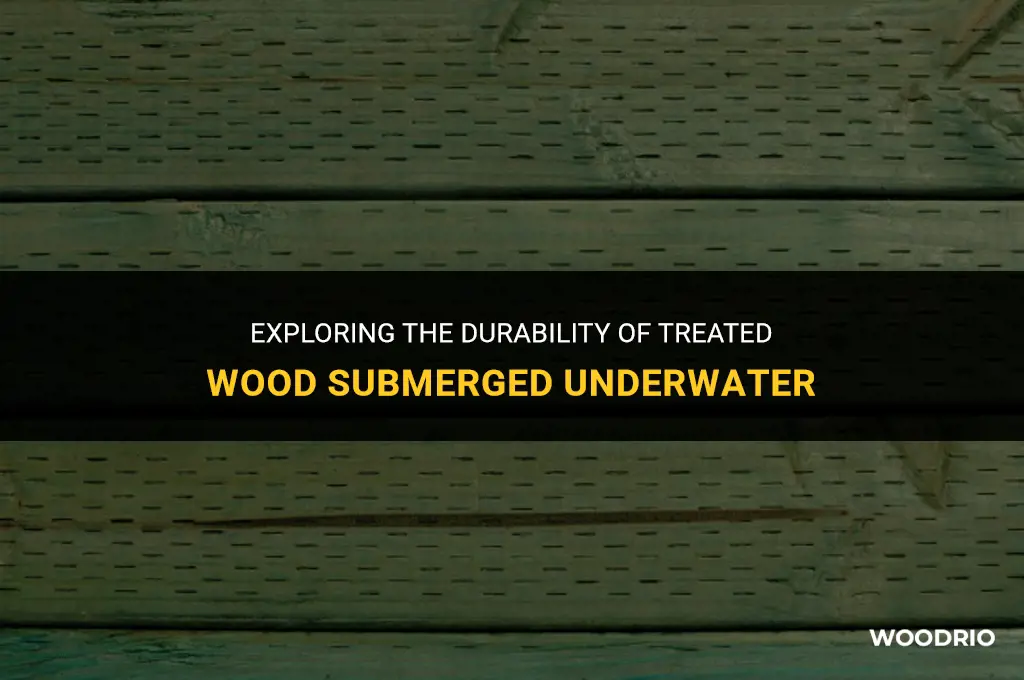 does treated wood rot underwater