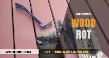 Decaying Dreams: The Truth About Treated Wood's Longevity