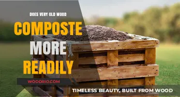 Does Ancient Wood Compost Faster? Exploring the Breakdown of Aged Timber