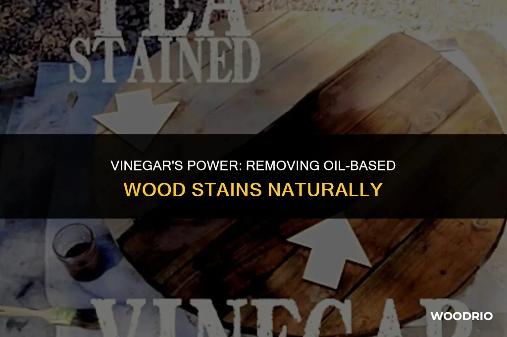 does vinegar remove oil based wood stain