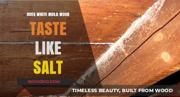 Exploring the Salty Illusion: Does White Mold on Wood Taste Like Salt?