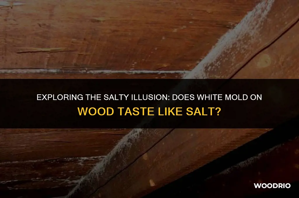 does white mold wood taste like salt