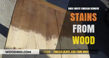 Natural Cleaning: White Vinegar's Efficacy in Removing Wood Stains