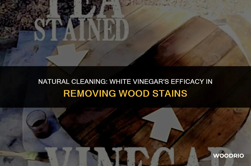 does white vinegar remove stains from wood