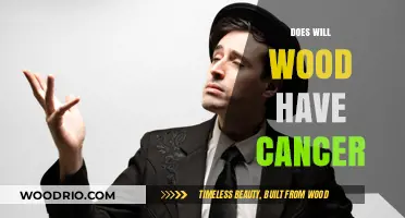 Exploring Health Concerns: Does Will Wood Have Cancer?
