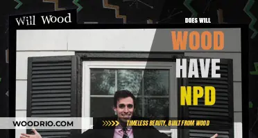 Exploring the Narcissistic Personality Disorder Speculations Around Will Wood