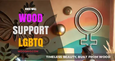 Will Wood's Stance on LGBTQ+ Rights: A Comprehensive Look