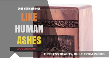 Exploring the Visual Similarities: Wood Ash vs. Human Ashes