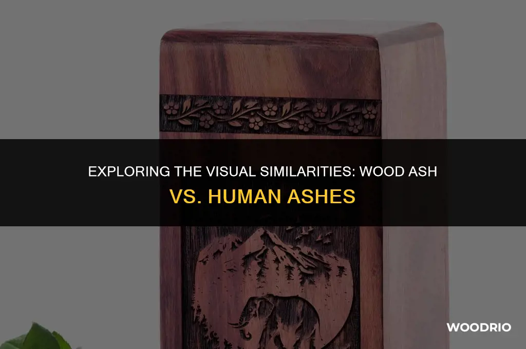does wood ash look like human ashes