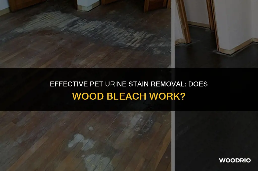 does wood bleach remove pet urine stains