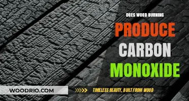 The Hidden Danger: Wood Burning and Carbon Monoxide Production