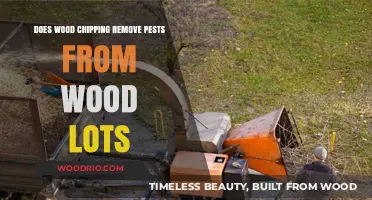 Effective Pest Control: The Benefits of Wood Chipping for Wood Lots
