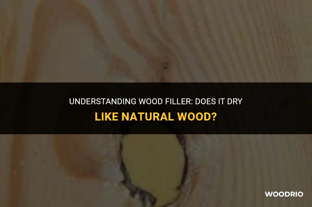 does wood filler dry like wood