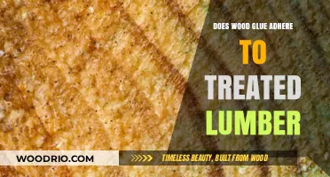 Exploring Wood Glue's Bonding Capabilities with Treated Lumber